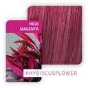 CF CR  High Magenta  60ml  WE___WRCHFCRHM-02