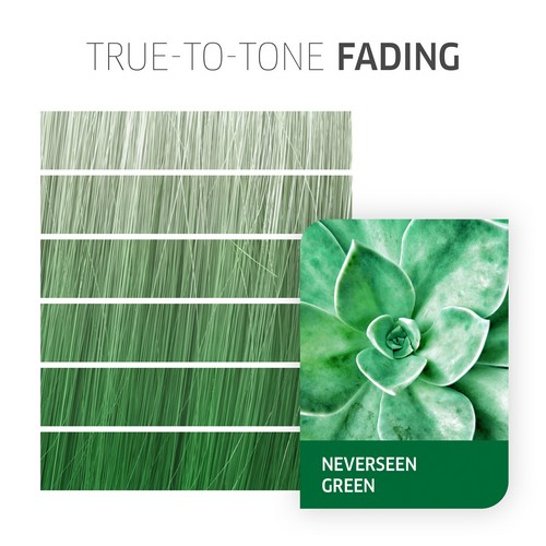 CF CR  NeverSeen Green  60ml__WRCHFCRNG-03