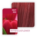 CF CR  Next Red  60ml  WE_ALME__WRCHFCRNR-02
