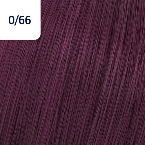 KP SPECIAL MIX 0/66 60gr  ASIA__WRCHKM066-(3)