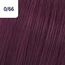 KP SPECIAL MIX 0/66 60gr  ASIA__WRCHKM066-(3)