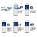 WP WLXN S ATB PERF 30V9.0% 100__WRLHGPE9-4