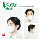 IRIS V-Fit Face Mask (NEW) (7p