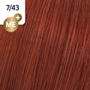 KP VIBRANT REDS 7/43 60gr  ASI__WRCHKV743-(3)