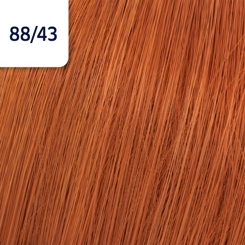 KP VIBRANT REDS 88/43 60gr  AS__WRCHKV8843-(3)