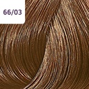 CT 60 IN DR-BL NT GLD 66/03 CC__WRCHTC6603-(3)