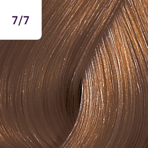 CT 60 DEEP BROWNS 7/7 AU-NZ__WRCHTD77-(3)
