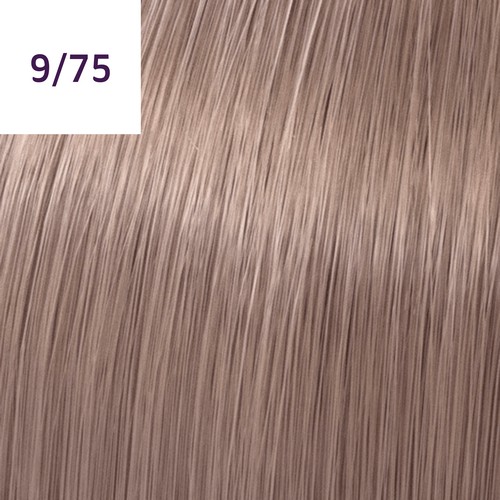 WP TOUCH RG CT 60grDEEP BROWNS__WRCHTD975-(3)