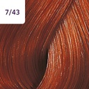 CT 60 VIBRANT REDS 7/43 AU-NZ__WRCHTV743-(3)