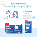 IRIS Face Mask Normal Size (60__ZTHPN60M01-(2)